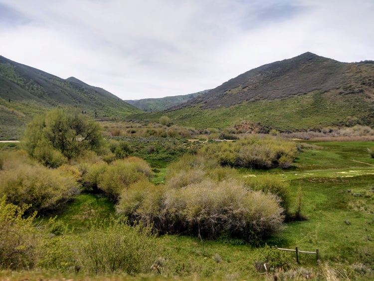 241965889_858419354795008_5047154619994446821_n