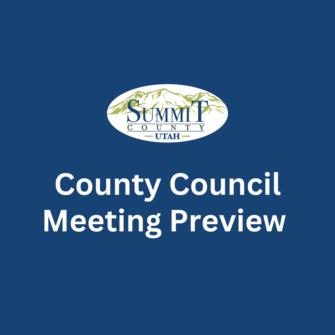 County Council Preview