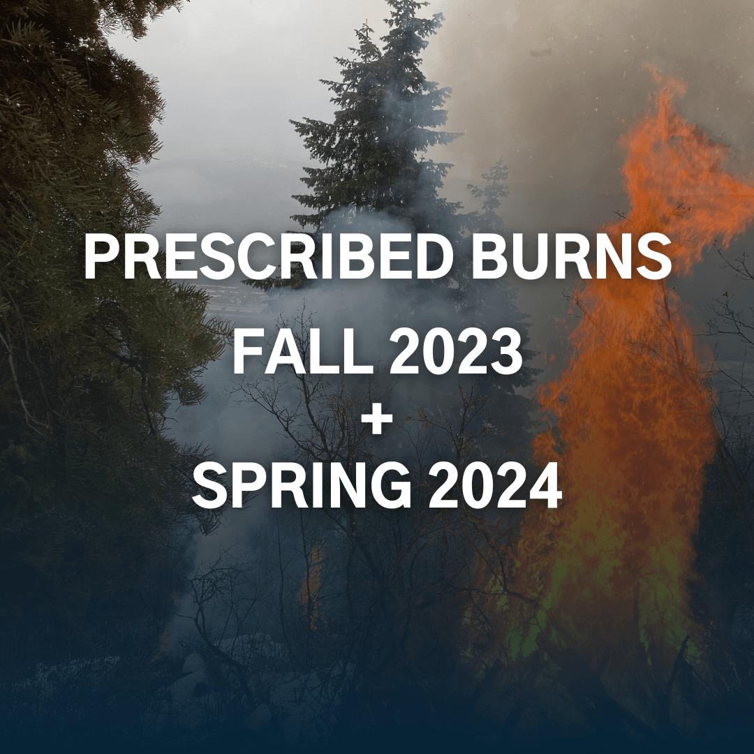 Rx Burn Thumbnail Template