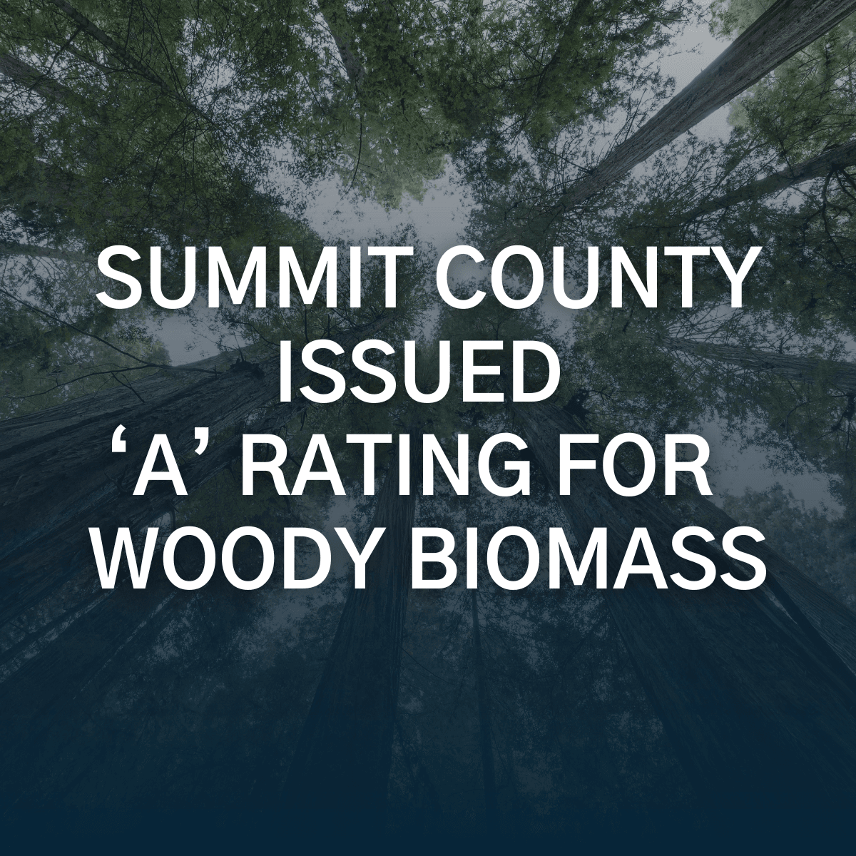 Accomplishments Video Woody Biomass (1)