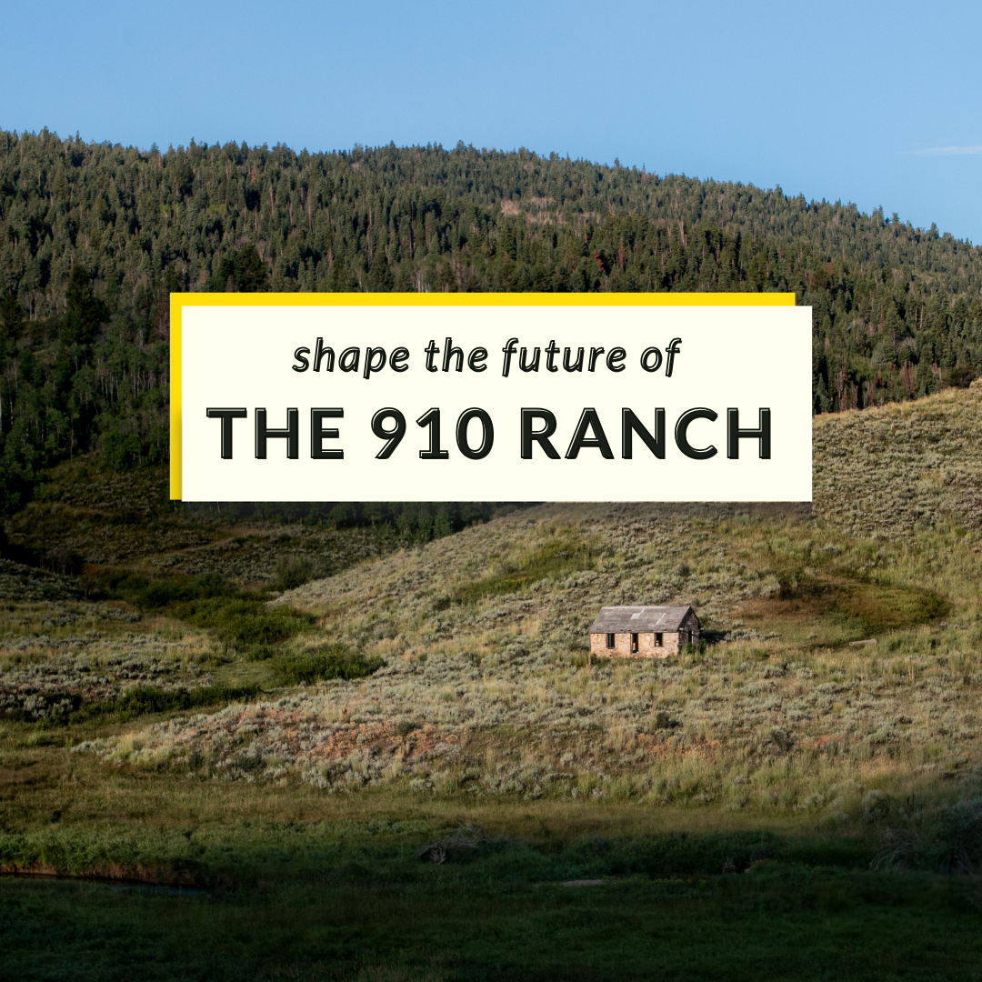 County Lands - 910 RANCH SURVEY OPEN HOUSE SOCIAL GRAPHICS