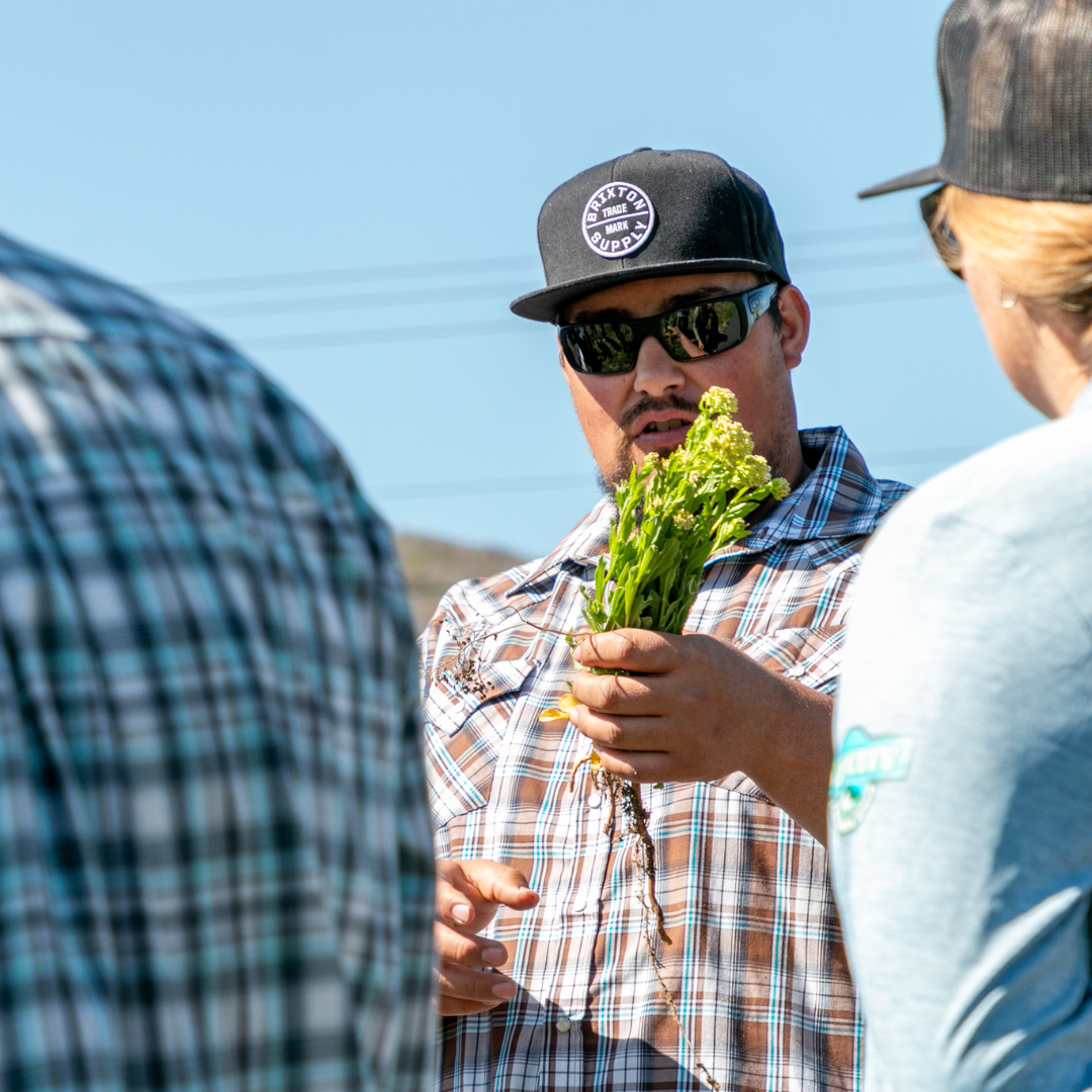 Summit County Weed Enforcement Officer, Dan Pena, holding a noxious weed. 