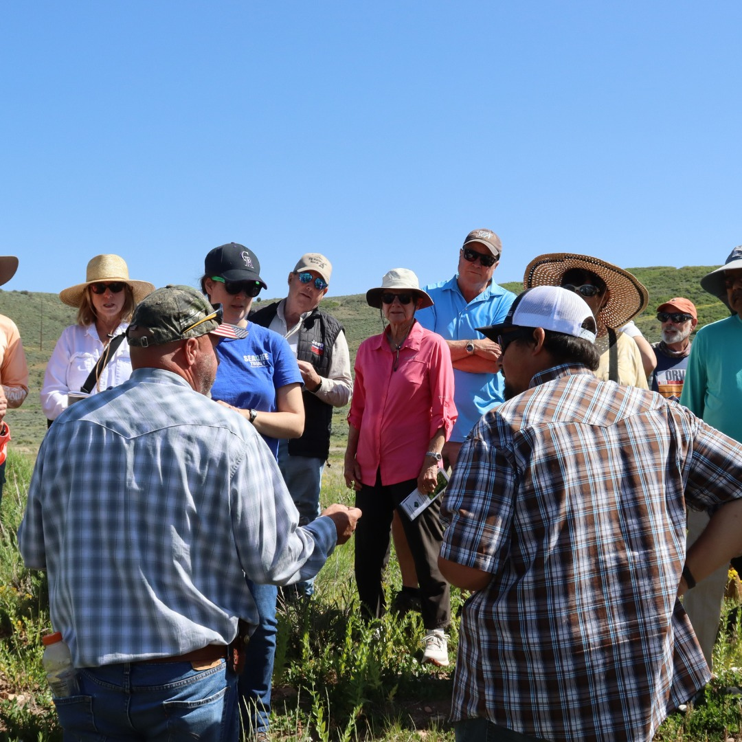 Photo of a previous Community Noxious Weeds Tour - Summit County staff talking to a group of people.