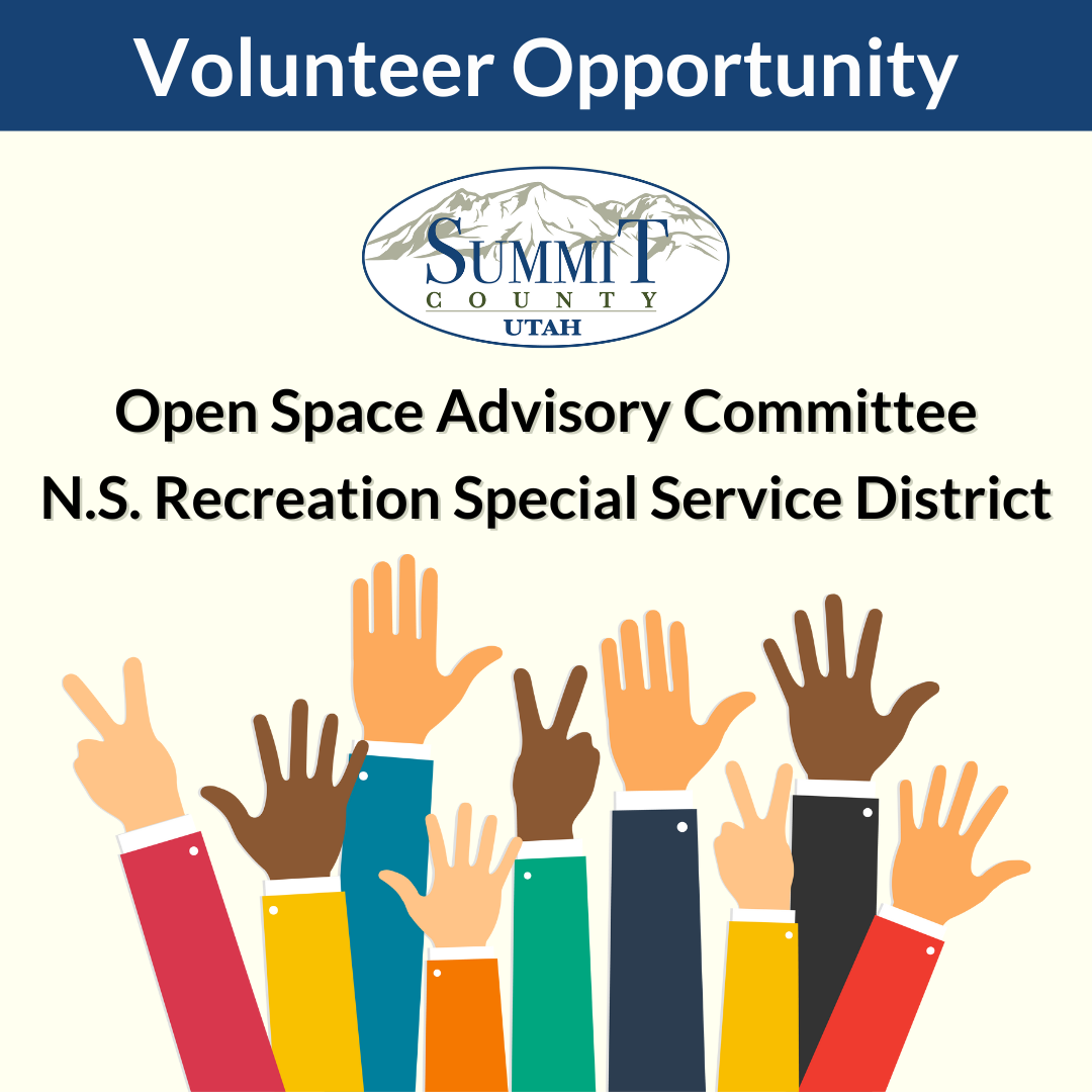 Current Volunteer Opportunities