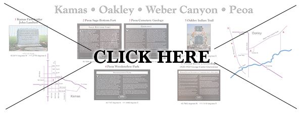 panel Opens in new window