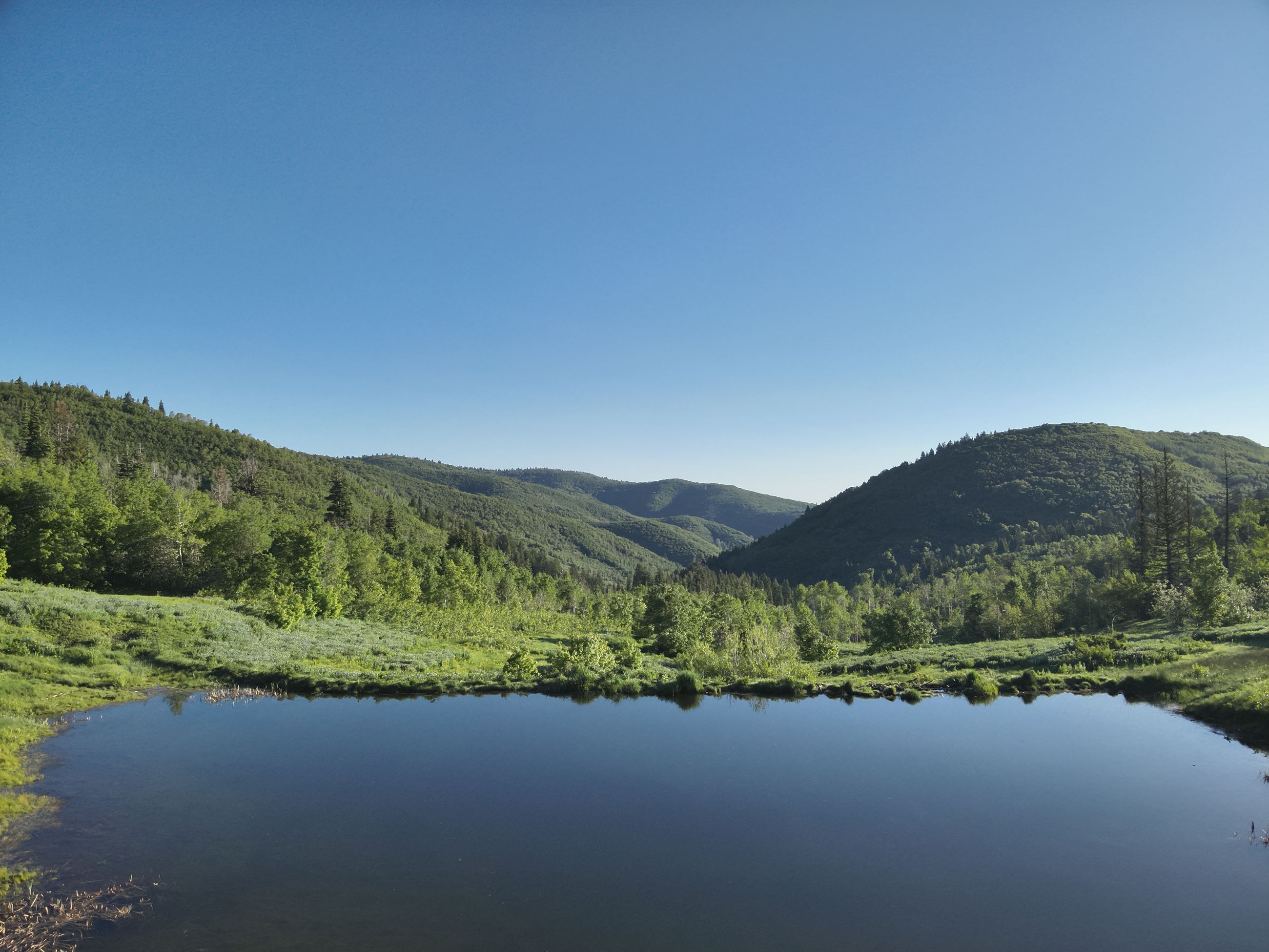 910 Ranch Drone Photos73546_0014_V