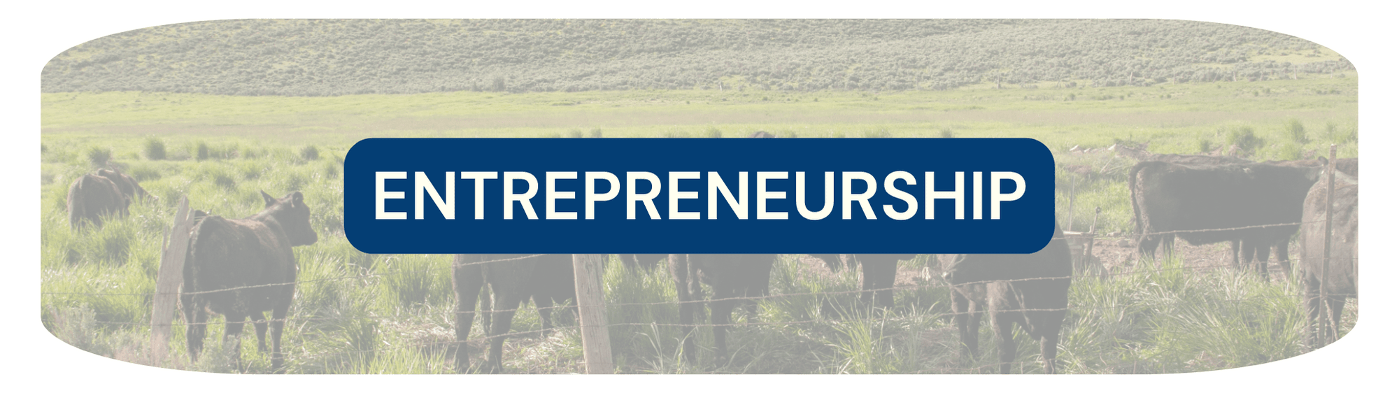 Button that says Entrepreneurship