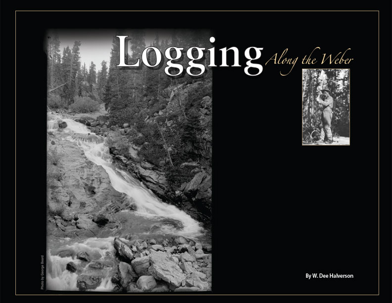 Logging Cover